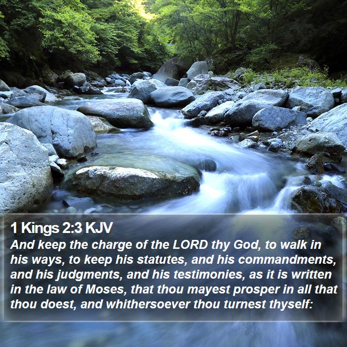 The Book of 1 Kings 2:3 And keep the charge of the LORD thy God, to walk in his ways, to keep his statutes, and his commandments, and his judgments, and his testimonies, as it is written in the law of Moses, that thou mayest prosper in all that thou doest, and whithersoever thou turnest thyself: