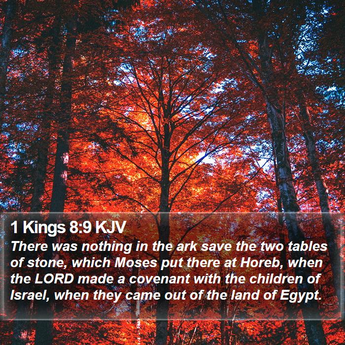 The Book of 1 Kings 8:9 There was nothing in the ark save the two tables of stone, which Moses put there at Horeb, when the LORD made a covenant with the children of Israel, when they came out of the land of Egypt.