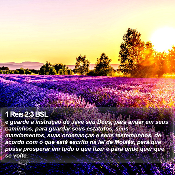 e guarde a instrução de Javé seu Deus, para andar em seus caminhos, para guardar seus estatutos, seus mandamentos, suas ordenanças e seus testemunhos, de acordo com o que está escrito na lei de Moisés, para que possa prosperar em tudo o que fizer e para onde quer que se volte. 1 Reis 2:3 (BSL)