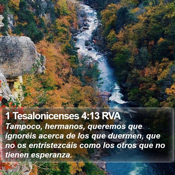 El libro de 1 Tesalonicenses 4:13 Mas no quiero, hermanos, que ignoréis acerca de los que duermen, para que no os entristezcáis como los otros que no tienen esperanza. (RVG)