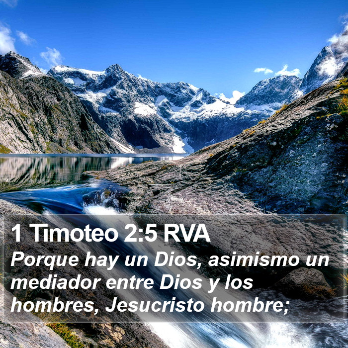 El libro de 1 Timoteo 2:5 Porque hay un solo Dios, y un solo mediador entre Dios y los hombres, Jesucristo hombre; (RVG)