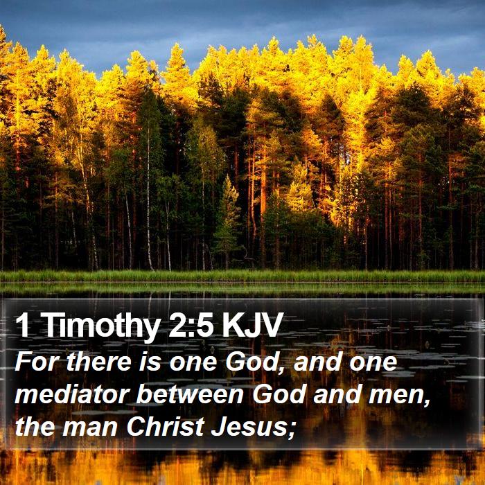 The Book of 1 Timothy 2:5 For there is one God, and one mediator between God and men, the man Christ Jesus;