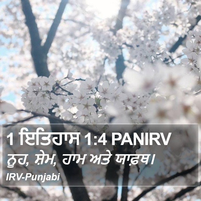 ਨੂਹ, ਸ਼ੇਮ, ਹਾਮ ਅਤੇ ਯਾਫ਼ਥ। ੧ ਤਵਾਰੀਖ਼ (1 Chronicles) 1:4