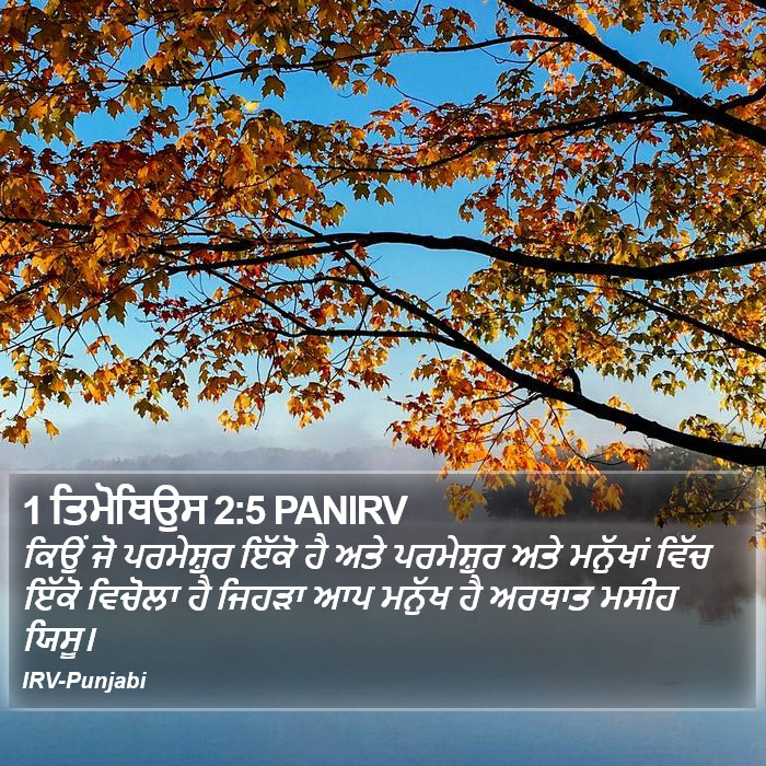ਕਿਉਂ ਜੋ ਪਰਮੇਸ਼ੁਰ ਇੱਕੋ ਹੈ ਅਤੇ ਪਰਮੇਸ਼ੁਰ ਅਤੇ ਮਨੁੱਖਾਂ ਵਿੱਚ ਇੱਕੋ ਵਿਚੋਲਾ ਹੈ ਜਿਹੜਾ ਆਪ ਮਨੁੱਖ ਹੈ ਅਰਥਾਤ ਮਸੀਹ ਯਿਸੂ। ੧ ਤਿਮੋਥਿਉਸ (1 Timothy) 2:5