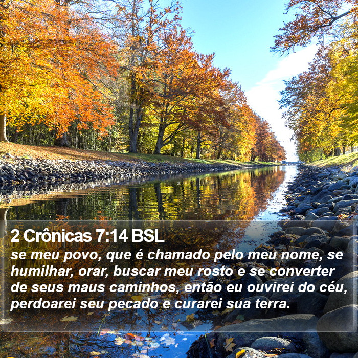 se meu povo, que é chamado pelo meu nome, se humilhar, orar, buscar meu rosto e se converter de seus maus caminhos, então eu ouvirei do céu, perdoarei seu pecado e curarei sua terra. 2 Crônicas 7:14 (BSL)