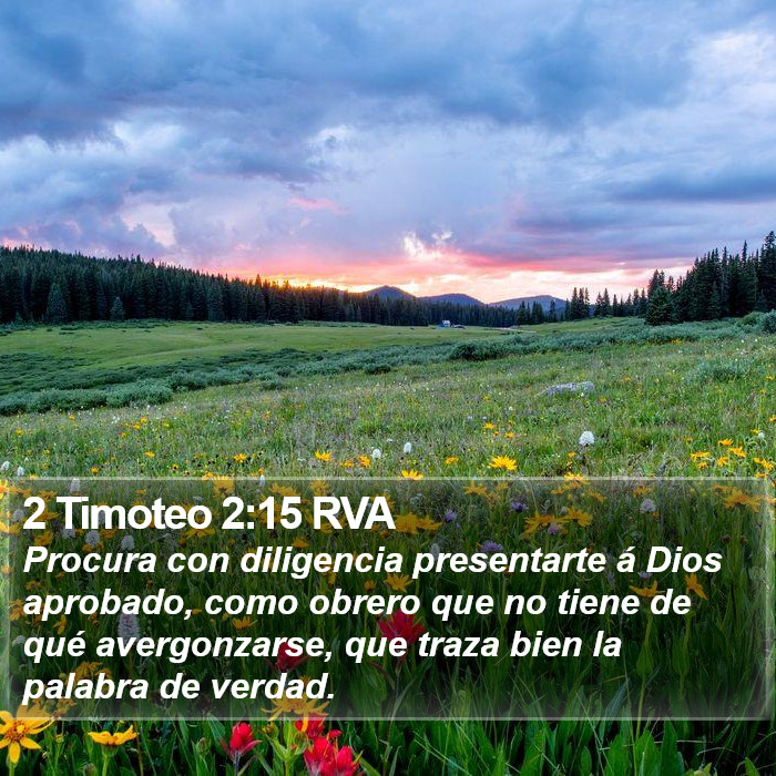 El libro de 2 Timoteo 2:15 Estudia con diligencia para presentarte a Dios aprobado, como obrero que no tiene de qué avergonzarse, que traza bien la palabra de verdad. (RVG)
