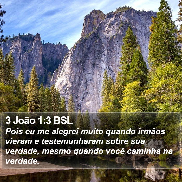 Pois eu me alegrei muito quando irmãos vieram e testemunharam sobre sua verdade, mesmo quando você caminha na verdade. 3 João 1:3 (BSL)