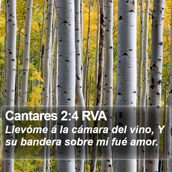 El libro de Cantares 2:4 Me llevó a la casa del banquete, y su bandera sobre mí fue amor. (RVG