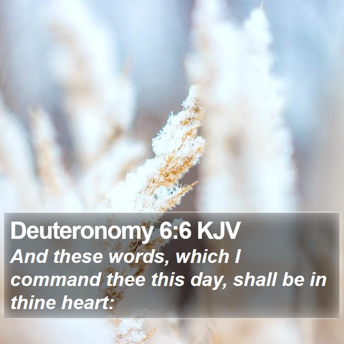 The Book of Deuteronomy 6:6 And these words, which I command thee this day, shall be in thine heart: