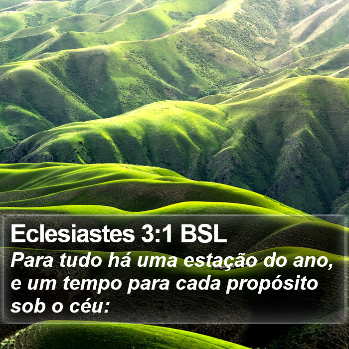 Para tudo há uma estação do ano, e um tempo para cada propósito sob o céu: Eclesiastes 3:1 (BSL)