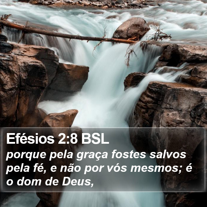 porque pela graça fostes salvos pela fé, e não por vós mesmos; é o dom de Deus, Efésios 2:8 (BSL)