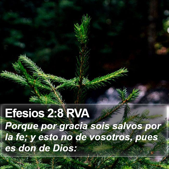 El libro de Efesios 2:8 Porque por gracia sois salvos por medio de la fe, y esto no de vosotros; pues es don de Dios; (RVG)