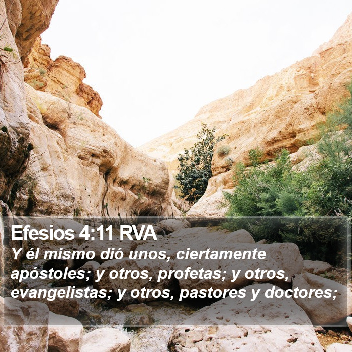 El libro de Efesios 4:11 Y Él mismo dio a unos, apóstoles; y a unos, profetas; y a unos, evangelistas; y a unos, pastores y maestros; (RVG)