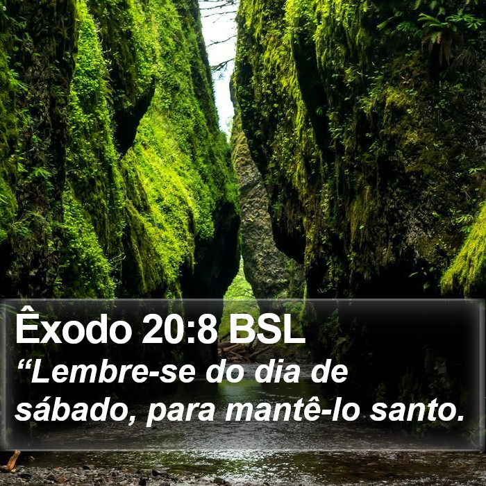 “Lembre-se do dia de sábado, para mantê-lo santo. Êxodo 20:8 (BSL)