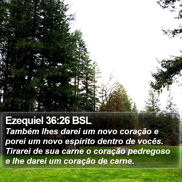 Também lhes darei um novo coração e porei um novo espírito dentro de vocês. Tirarei de sua carne o coração pedregoso e lhe darei um coração de carne. Ezequiel 36:26 (BSL)
