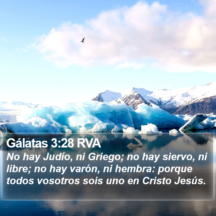 El libro de Gálatas 3:28 Ya no hay judío ni griego; no hay esclavo ni libre; no hay varón ni mujer; porque todos vosotros sois uno en Cristo Jesús. (RVG)