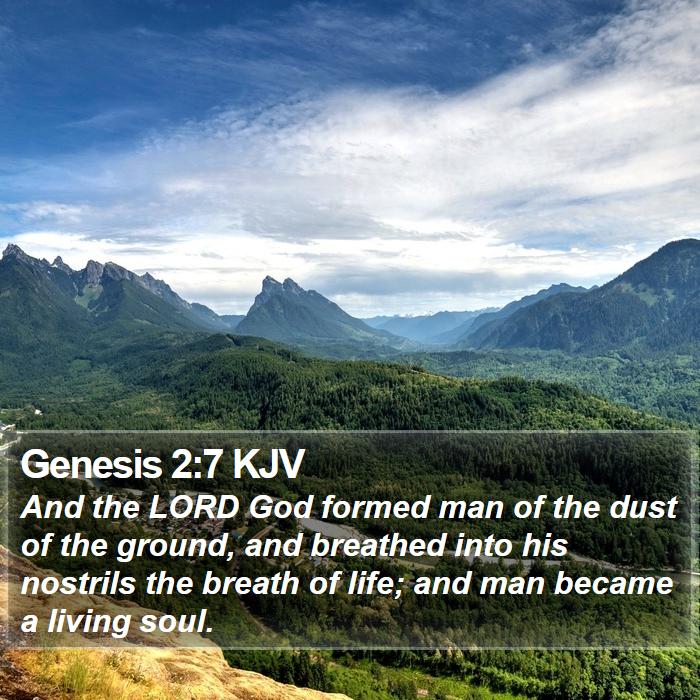 The Book of Genesis 2:7 And the LORD God formed man of the dust of the ground, and breathed into his nostrils the breath of life; and man became a living soul.