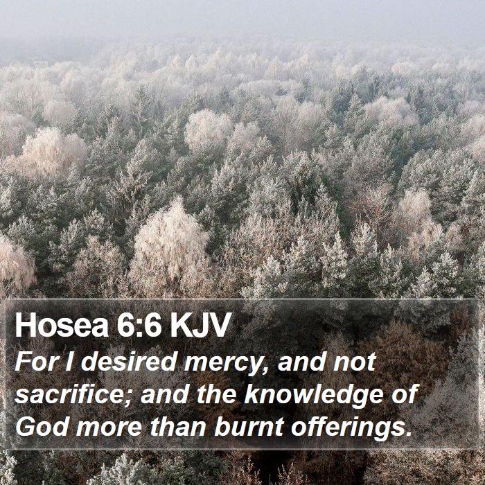 The Book of Hosea 6:6 For I desired mercy, and not sacrifice; and the knowledge of God more than burnt offerings.