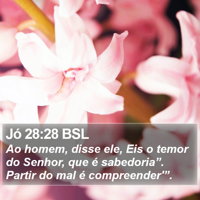 Ao homem, disse ele, Eis o temor do Senhor, que é sabedoria”. Partir do mal é compreender'”. Jó 28:28 (BSL)
