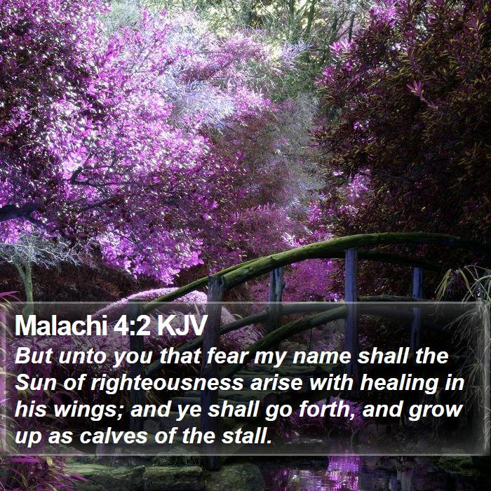 The Book of Malachi 4:2 But unto you that fear my name shall the Sun of righteousness arise with healing in his wings; and ye shall go forth, and grow up as calves of the stall.