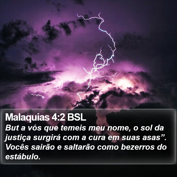 But a vós que temeis meu nome, o sol da justiça surgirá com a cura em suas asas”. Vocês sairão e saltarão como bezerros do estábulo. Malaquias 4:2 (BSL)