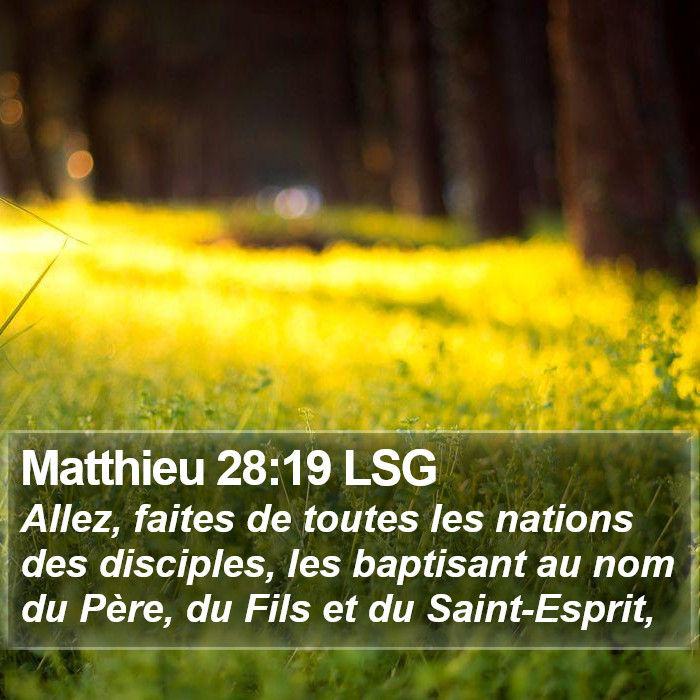 L'évangile de Matthieu 28:19 Allez, faites de toutes les nations des disciples, les baptisant au nom du Père, du Fils et du Saint-Esprit,