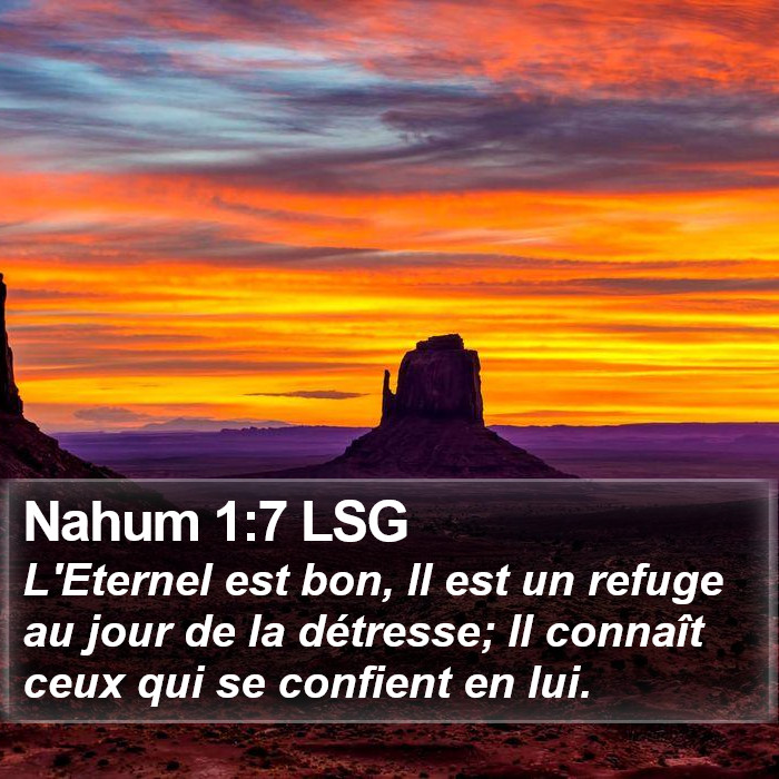 Livre de Nahum 1:7 L'Éternel est bon, Il est un refuge au jour de la détresse; Il connaît ceux qui se confient en lui.