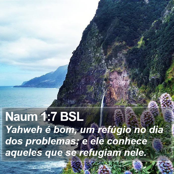 Yahweh é bom, um refúgio no dia dos problemas; e ele conhece aqueles que se refugiam nele. Naum 1:7 (BSL)