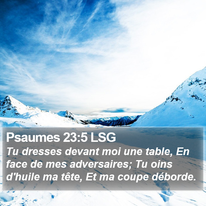 Livre des Psaumes 23:5 Tu dresses devant moi une table, En face de mes adversaires; Tu oins d'huile ma tête, Et ma coupe déborde.
