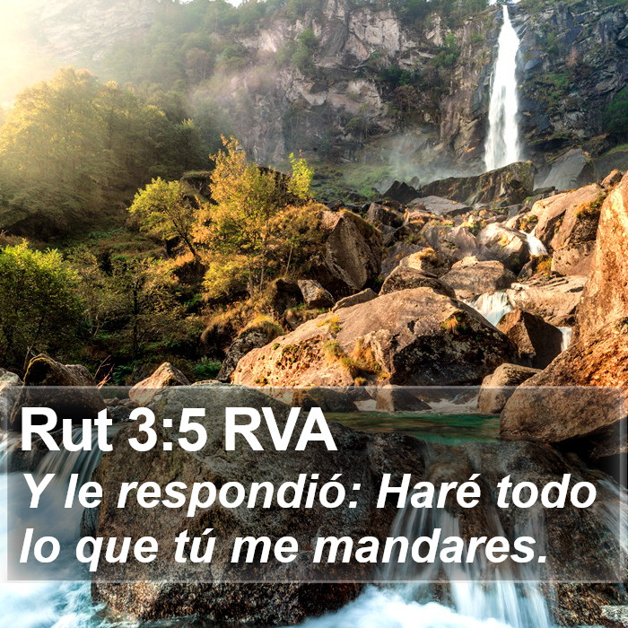 El libro de Rut 3:5 Y ella le respondió: Haré todo lo que tú me dices. (RVG)