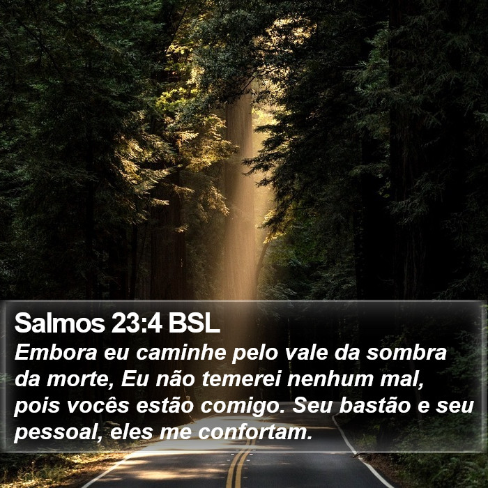 Embora eu caminhe pelo vale da sombra da morte, Eu não temerei nenhum mal, pois vocês estão comigo. Seu bastão e seu pessoal, eles me confortam. Salmos 23:4 (BSL)