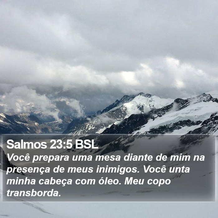 Você prepara uma mesa diante de mim na presença de meus inimigos. Você unta minha cabeça com óleo. Meu copo transborda. Salmos 23:5 (BSL)