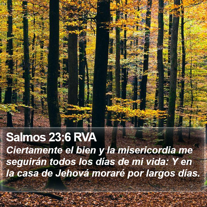 El libro de Salmos 23:6 Ciertamente el bien y la misericordia me seguirán todos los días de mi vida; y en la casa de Jehová moraré por largos días. (RVG)