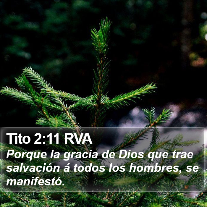 El libro de Tito 2:11 Porque la gracia de Dios que trae salvación se ha manifestado a todos los hombres, (RVG)