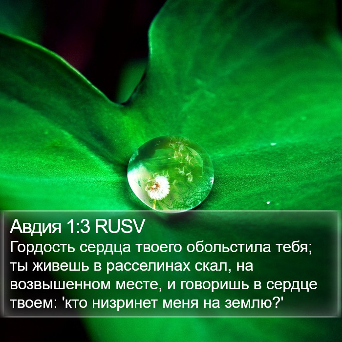 Авдия (Obadiah) 1:3
