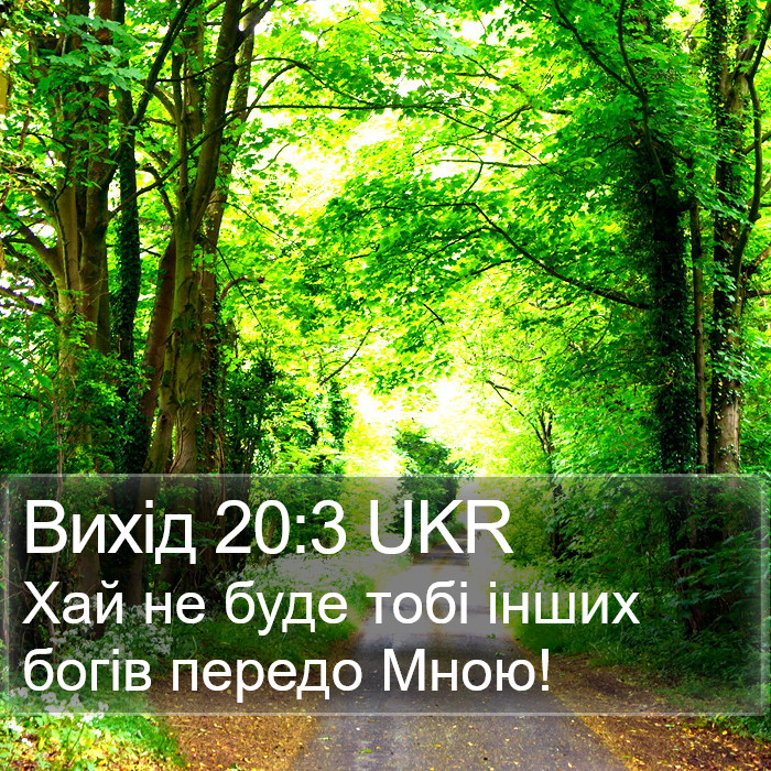 Вихід (Exodus) 20:3