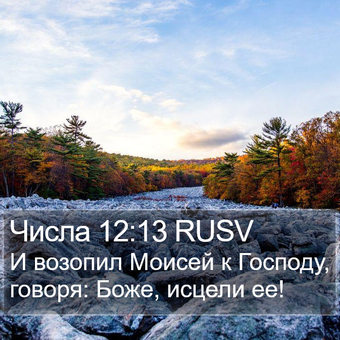 Числа (Numbers) 12:13