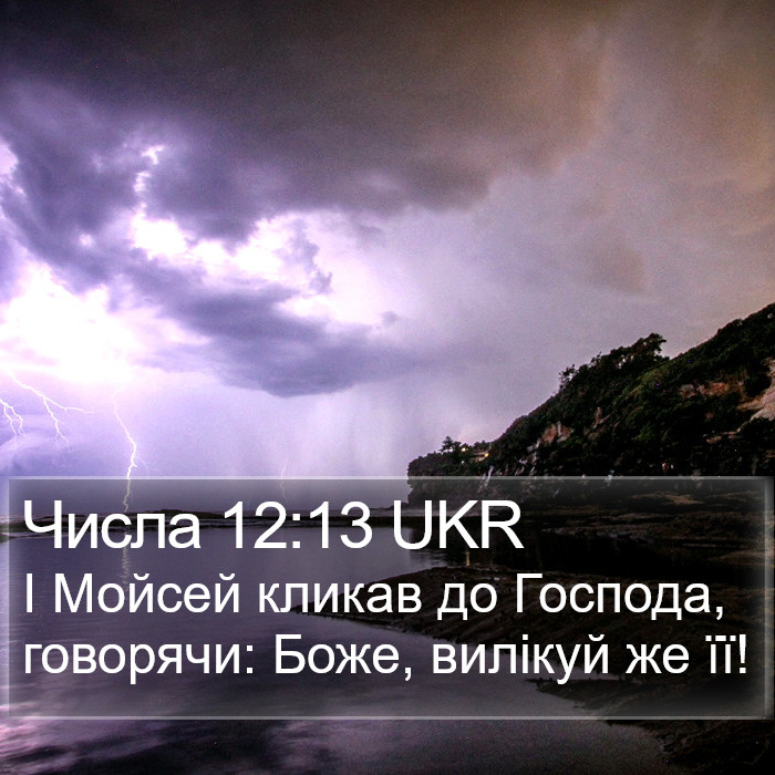 Числа (Numbers) 12:13