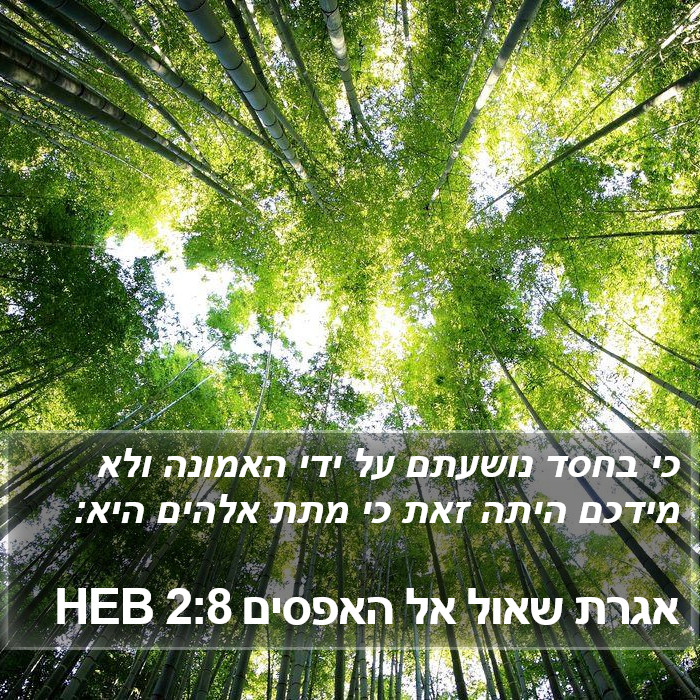 הספר האפסיים 2:8
