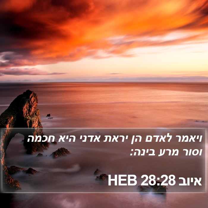 הספר איוב 28:28