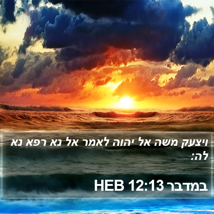 הספר במדבר 12:13