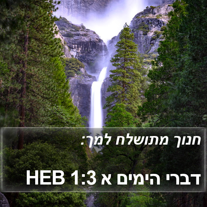 הספר דברי הימים א 1:3