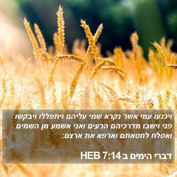 הספר דברי הימים ב 7:14