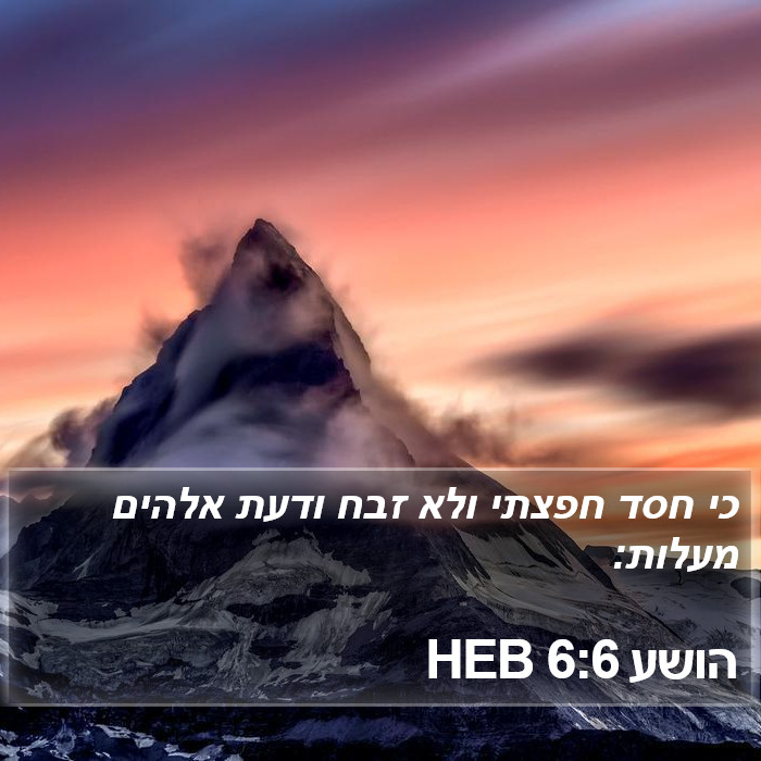הספר הושע 6:6