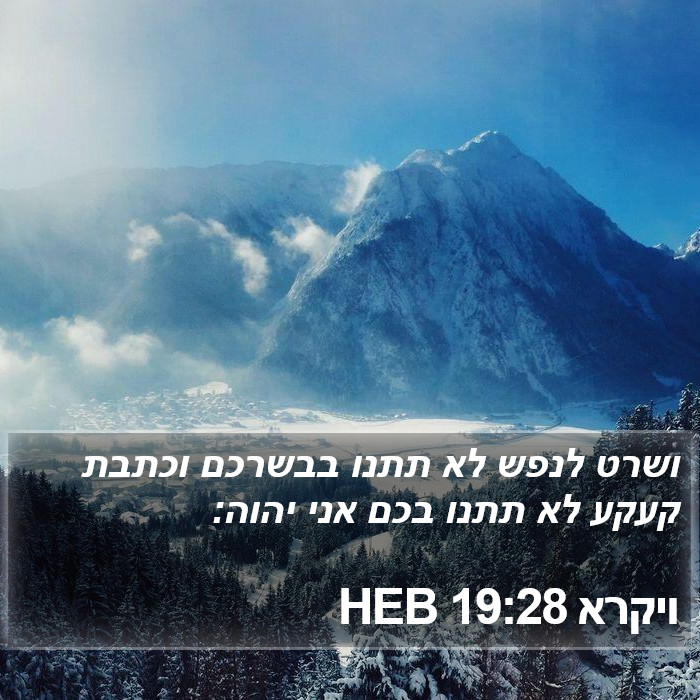 הספר ויקרא 19:28
