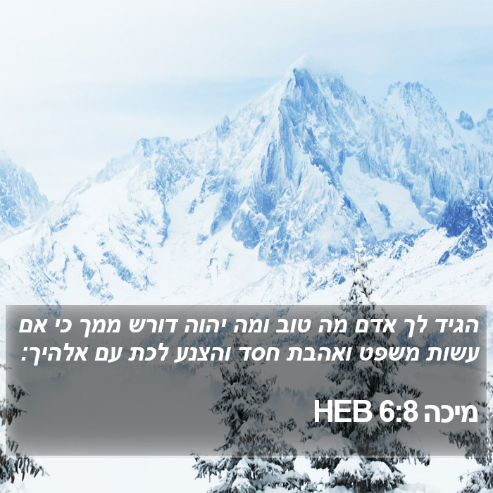 הספר מיכה 6:8