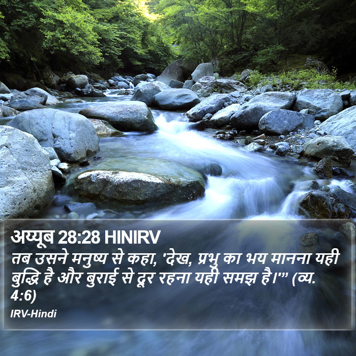 उस पर हिंसक पशुओं ने पाँव नहीं धरा, और न उससे होकर कोई सिंह कभी गया है। अय्यूब (Job) 28:28