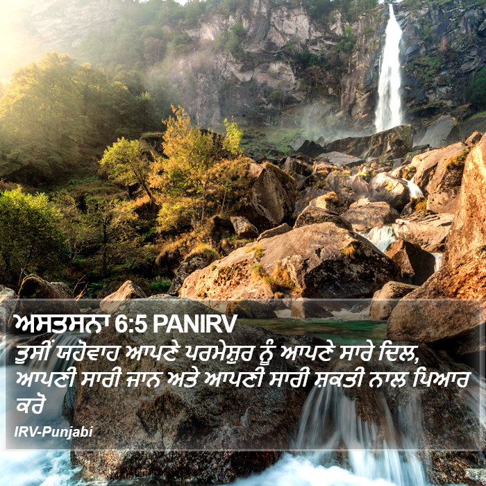 ਤੁਸੀਂ ਯਹੋਵਾਹ ਆਪਣੇ ਪਰਮੇਸ਼ੁਰ ਨੂੰ ਆਪਣੇ ਸਾਰੇ ਦਿਲ, ਆਪਣੀ ਸਾਰੀ ਜਾਨ ਅਤੇ ਆਪਣੀ ਸਾਰੀ ਸ਼ਕਤੀ ਨਾਲ ਪਿਆਰ ਕਰੋ ਅਸਤਸਨਾ (Deuteronomy) 6:5