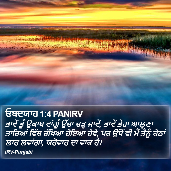 ਭਾਵੇਂ ਤੂੰ ਉਕਾਬ ਵਾਂਗੂੰ ਉੱਚਾ ਚੜ੍ਹ ਜਾਵੇਂ, ਭਾਵੇਂ ਤੇਰਾ ਆਲ੍ਹਣਾ ਤਾਰਿਆਂ ਵਿੱਚ ਰੱਖਿਆ ਹੋਇਆ ਹੋਵੇ, ਪਰ ਉੱਥੋਂ ਵੀ ਮੈਂ ਤੈਨੂੰ ਹੇਠਾਂ ਲਾਹ ਲਵਾਂਗਾ, ਯਹੋਵਾਹ ਦਾ ਵਾਕ ਹੈ। ਅਬਦ ਯਾਹ (Obadiah) 1:4
