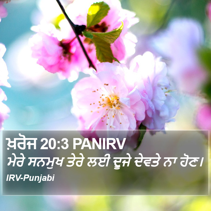 ਮੇਰੇ ਸਨਮੁਖ ਤੇਰੇ ਲਈ ਦੂਜੇ ਦੇਵਤੇ ਨਾ ਹੋਣ। ਖ਼ਰੋਜ (Exodus) 20:3